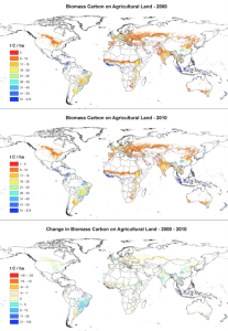 Global map of average biomass carbon per hectare on agricultural land in 2000 and 2010, and the change in average biomass carbon from 2000 to 2010 (tC ha-1). Maps were produced based upon a spatial analysis using ESRI ArcGIS software (version 10.3)