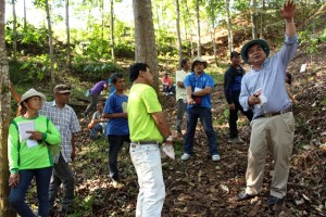 Explaining Smart Tree-Invest somewhere else in Lantapan. Photo: World Agroforestry Centre