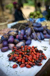 Market in the village of Minwoho, Lekié, Center Region, Cameroon. Photo: Ollivier Girard/CIFOR