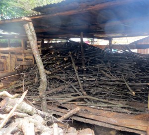 Firewood from Grevilliea prunnings drying in a shed. Photo by James Kinyua/World Agroforestry Centre