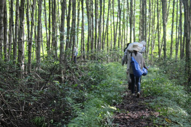 Photo: Vien Ngoc Nam/CIFOR