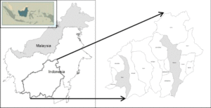 Case study area in the districts of West Kotawaringin and Kapuas (highlighted in grey). Map from study.
