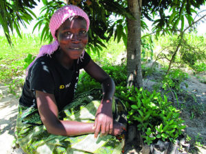 The benefits of the initiative go beyond land restoration and include economic and livelihood benefits. Photo: World Agroforestry Centre