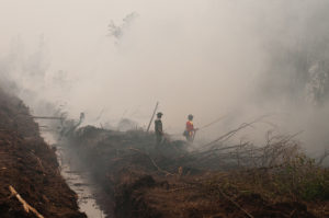 Army officers and and firefighters try to extinguish fires in peatland areas, outside Palangka Raya, Central Kalimantan. Photo Aulia Erlangga/CIFOR