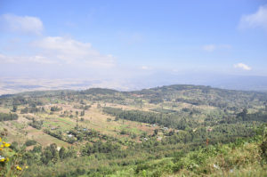 Agroforestry near Nairobi, Kenya. Photo: World Agroforestry Centre