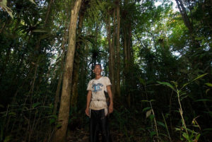 Timber is the main source of income both in West Kotawaringin and in Kapuas district. Photo: CIFOR