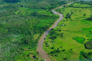 Researchers are convinced of the potential of so called second-growth forests in mitigating the effects of climate change. Photo: Neil Palmer/CIAT