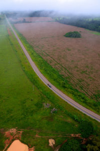 In reality, there are no clear lines between land uses. Photo: Kate Evans/CIFOR