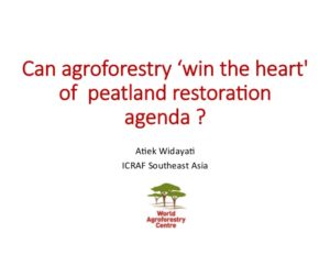 peatland-restoration-role-of-agroforestry-by-atiek-widayati-icraf-1-638