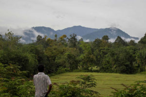 A Lubuk Beringin villager watches Hutan Desa from Dusun Buat village, Bungo district, Jambi province, Indonesia. Photo by Tri Saputro/CIFOR