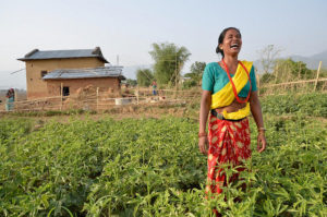 In Nepal, women are participating more in decisions related to changes in the landscapes that they live in. Photo: Neil Palmer/CIAT