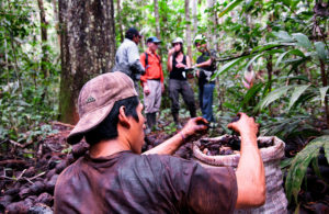 Madre de Dios in the Peruvian Amazon is the third location of the study. Photo: CIFOR