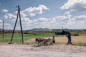 Not only in Ethiopia, climate change research partnerships worked well. Photo: Ollivier Girard/CIFOR