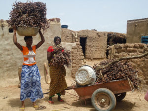 Many funding partners encourage research partnerships: In Burkina Faso, FTA partners work on the forest-farm interface. Photo: ICRAF