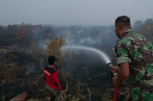 Military troops help to extinguish peat fires in Indonesia. Photo by Aulia Erlangga/ CIFOR
