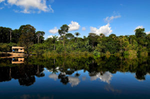 Monitoring REDD+ has been designed globally, but the systems have to be implemented nationally, and some components probably will have to be handled locally, such as here in the Amazon. Photo: Neil Palmer/CIAT/CIFOR