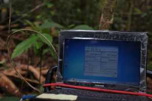 Analysis of the CO2 and H2O levels at Berbak National Park, Jambi, Sumatra, Indonesia. Photo by James Maiden for Center for International Forestry Research (CIFOR).