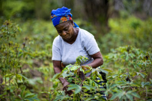 Photo: Ollivier Girard/CIFOR