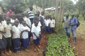 The local NGO, PACOPAD, works with schools to promote planting of passion fruit and tree tomatoes, aiming to grow vitamin-rich fruit and improve nutrition. Photo by Subira Bonhomme.