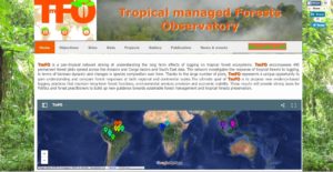 The Tropical managed Forest Observatory is a product of partnerships within FTA. Click on image to see more.