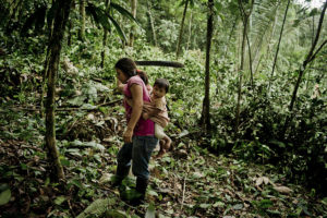 Photo by Tomas Munita for Center for International Forestry Research (CIFOR).