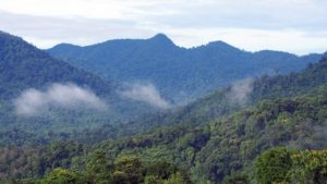 Keeping ASEAN’s forests standing is critically important for the future of our planet. Photo: World Agroforestry Centre/Robert Finlayson