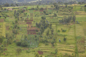 Market based Payment for Ecosystem Services scheme for protecting Lake Naivasha Basin, Kenya. Photo: ICRAF