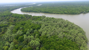 Aerial view of a mangrove forest in Jaring Halus, North Sumatra, Indonesia. Photo by: M. Edliadi/CIFOR