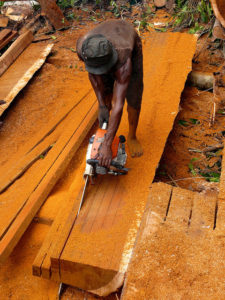 A villager uses a chainsaw to cut a felled tree into planks. Papua, Indonesia. Photo by Manuel Boissière for CIRAD and CIFOR 