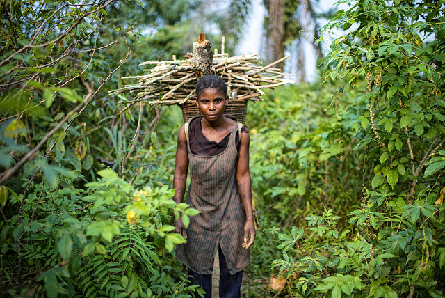 Photo: Ollivier Girard/CIFOR