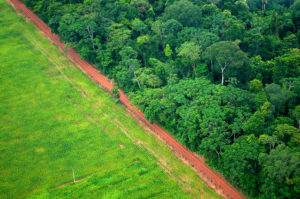 An aerial shot shows the contrast between forest and agricultural landscapes near Rio Branco, Acre, Brazil. Photo by Kate Evans for Center for International Forestry Research (CIFOR).