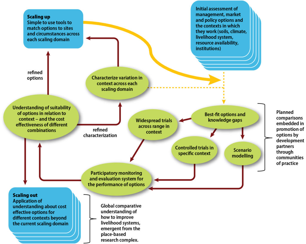 The Research in Development model