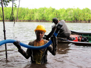 Mangroves in East Kalimantan, Indonesia. Photo: Sigit Deni Sasmito/CIFOR