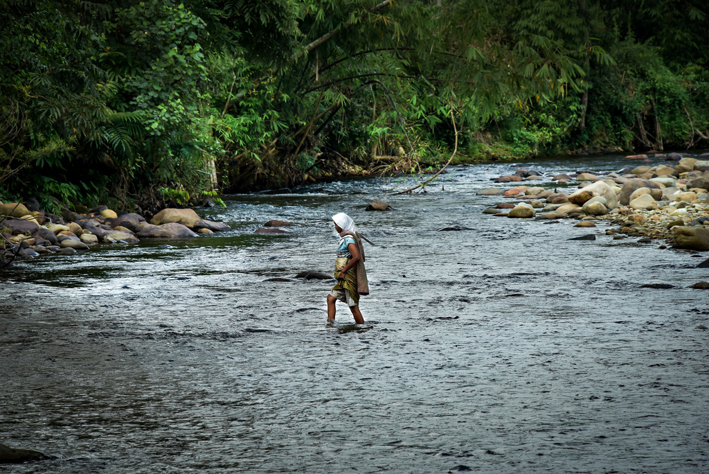 A woman crosses a river in... Photo by I. Cooke Vieira/CIFOR