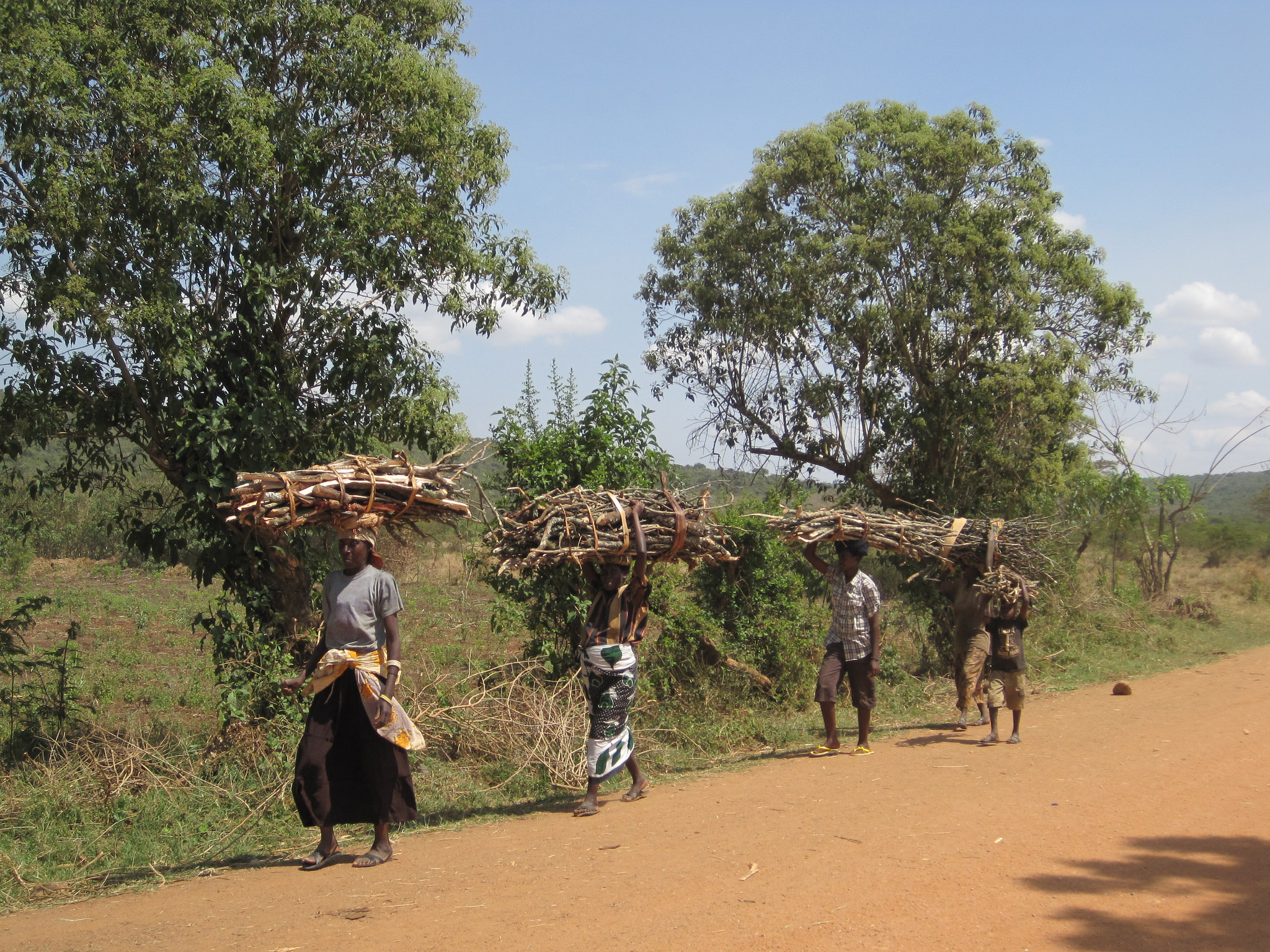 Women carry home firewood in Rwanda. Photo by D. Ouya/ICRAF