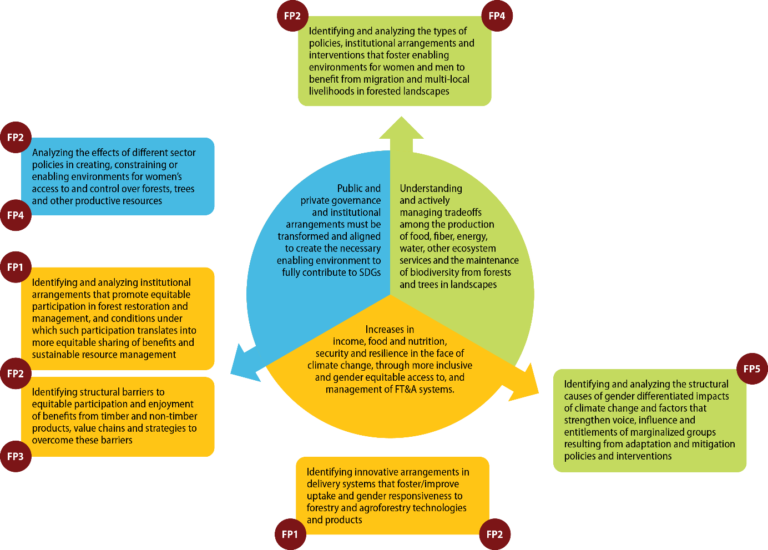 Gender analysis and research - Forests, Trees and Agroforestry