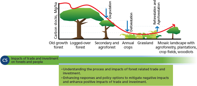 Flagship 5: Impacts of trade and investment on forests and people ...