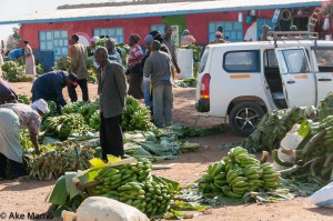 thumbnail of  Required: Smallholder farmer transition through links with private sector