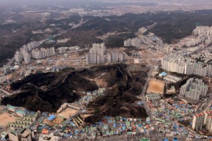 thumbnail of  Korea to support global forest restoration
