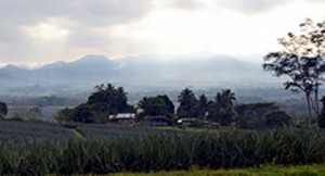 thumbnail of  Healthy watersheds need everyone’s help, agrees International Fund for Agricultural Development