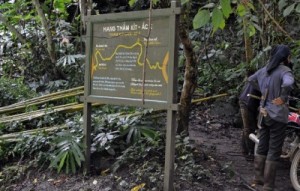 thumbnail of  Narrowing the gap between statutory and customary rights in Viet Nam’s community forest management