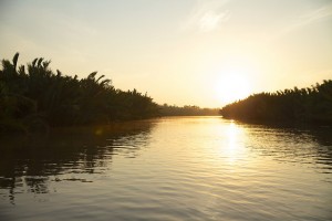 thumbnail of  Policy dialogue on social forestry in Southeast Asia: investing in a sustainable future for people and forests