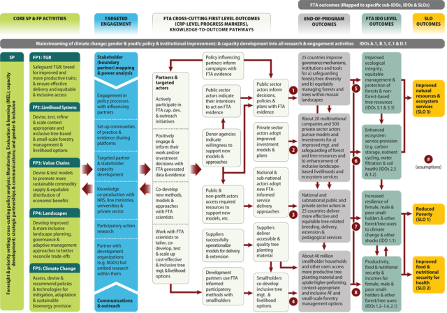 The CGIAR Research Program on Forests, Trees and Agroforestry: Theory ...