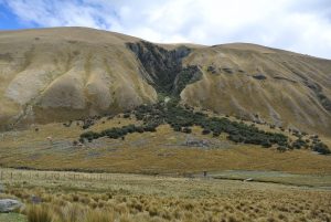thumbnail of  Trees in Andes to counter Peru’s climate and water crisis, says Swiss scientist