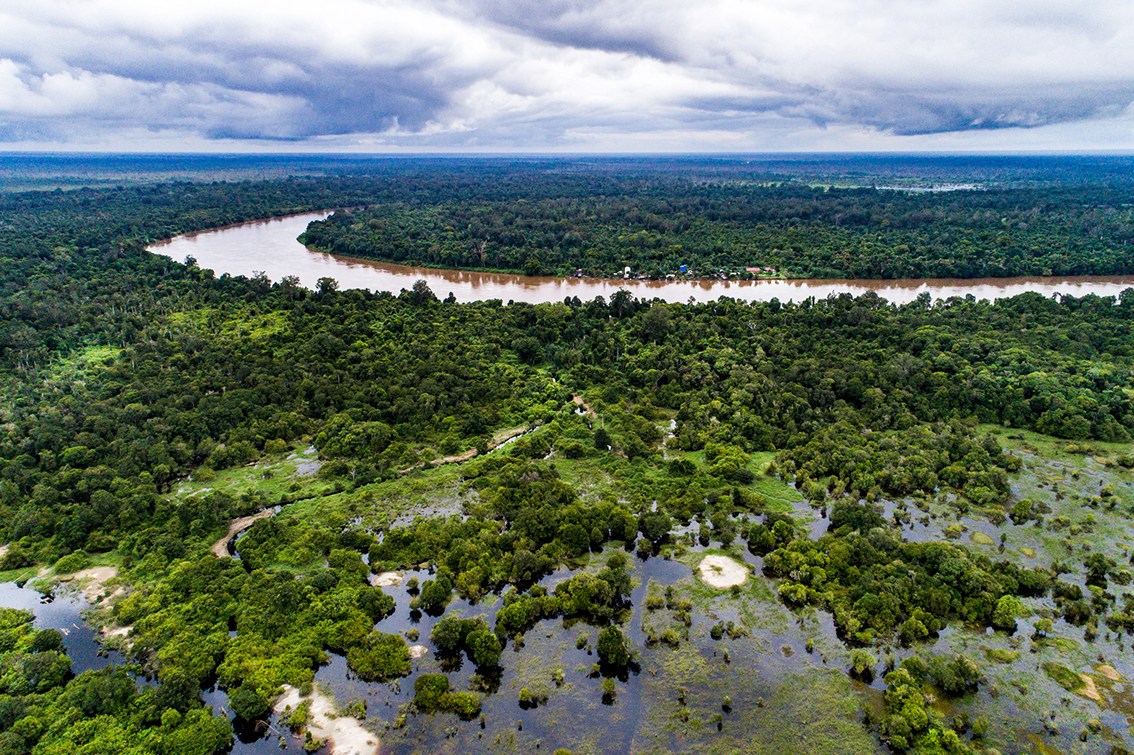 “restoration Belongs To The Community” - Forests, Trees And Agroforestry